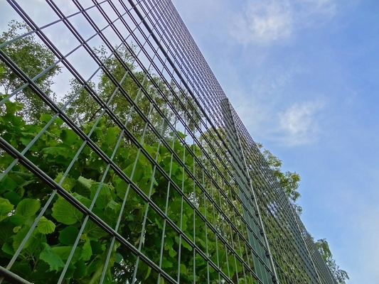 Dom ogród 50x100mm podwójne drut sieciowy ogrodzenie powłoki pokryte