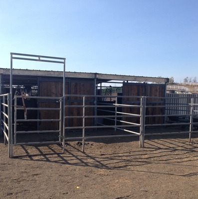 Ciężkie galwanizowane bramy dla bydła / bramy dla zwierząt 1,7 m