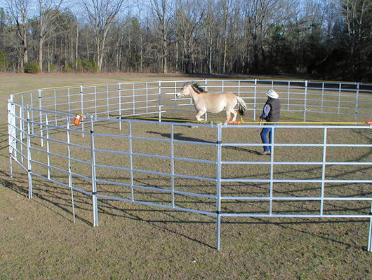 Ocynkowane ogniowo panele ogrodzeniowe dla zwierząt o długości 1,6 m z dodatkowymi kołkami / występami