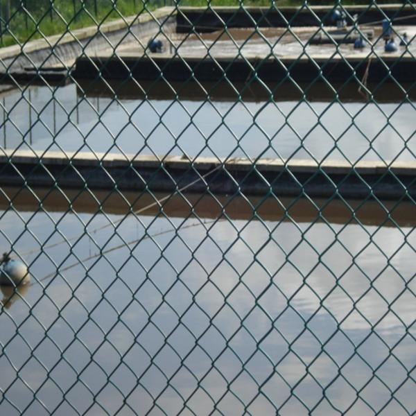 najnowsze wiadomości o firmie Siatkowe ogrodzenie łańcucha zabezpieczającego 0