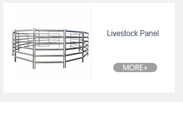 Zrównoważony samochód 47" Metalowe bariery tłumu tymczasowy płot basenu 7