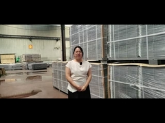 Opakowanie galwanizowanego ogrodzenia 3D