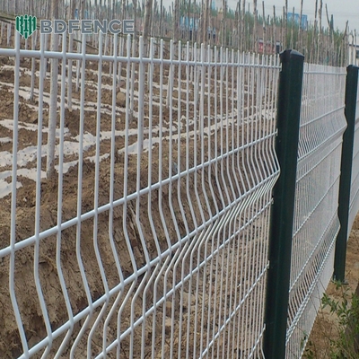 Wysokiej jakości pokryty proszkiem ogród spawany sieć drutowa 3D sieć płótno panel tanio cena zrównoważony