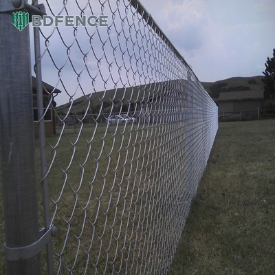8 Ft Chain Link Ogrodzenie PVC powlekany Czarny Winyl Cyclone Żelazny Drut Mesh Metalowy Ogrodzenie Do Zewnętrznego Ogrodu Panel Ogrodu