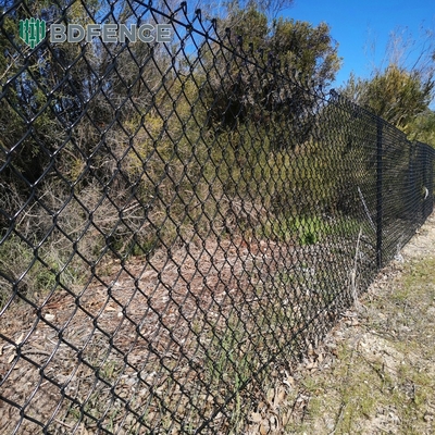 Ogrodzenie o wysokości 6 stóp z diamentową siatką idealnie nadające się do zielonych ogrodów