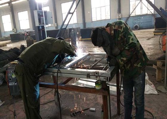 Dekoracja ogrodu Niski 3D stalowy drut galwanizowany pokryty ogrodzenie w Sliver