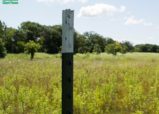 7 Ft Metalowe słupki T do ochronnego ogrodzenia z siatki drucianej