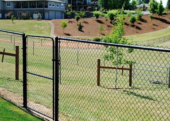 Bezpieczne metalowe ogrodzenie z ogniwami łańcucha ze stali PCV do ogrodu