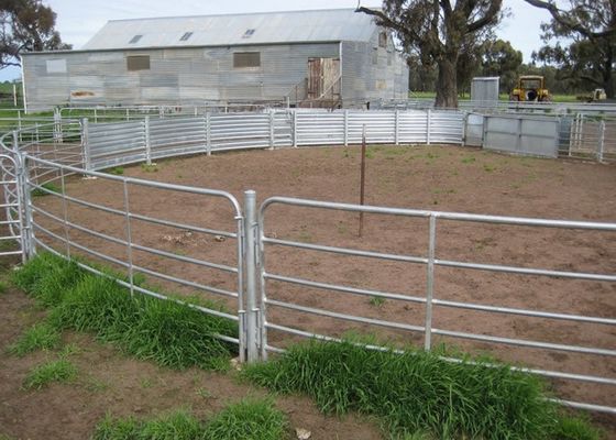 Panele ogrodzeniowe dla zwierząt gospodarskich blokujące L4m