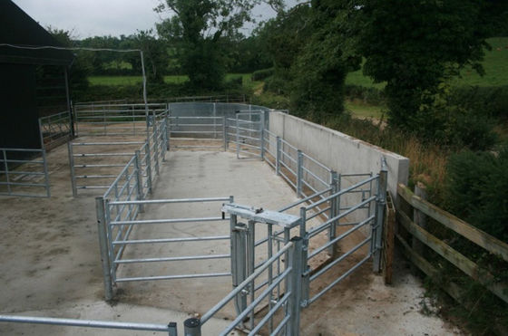 Panele ogrodzeniowe dla bydła o długości ISO 2,1 m do hodowli zwierząt gospodarskich