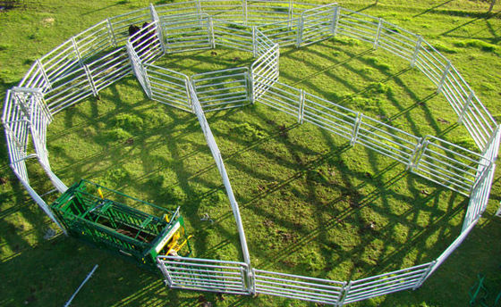 Panele ogrodzeniowe dla bydła o długości ISO 2,1 m do hodowli zwierząt gospodarskich
