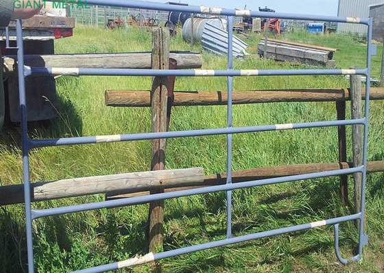 Wytrzymałe panele ogrodzeniowe o wysokości 1,6 m dla zwierząt gospodarskich Metalowe ocynkowane bramy rolnicze