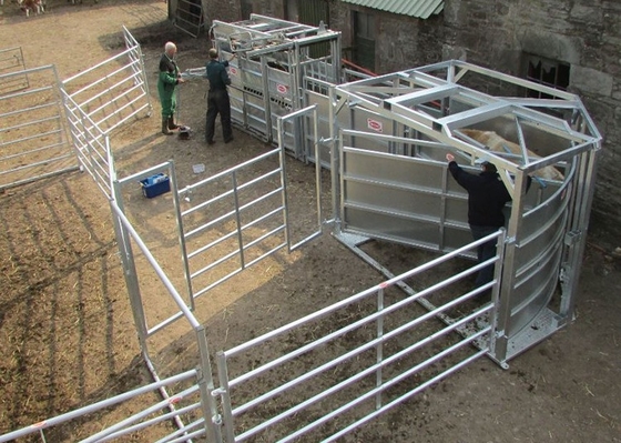 Wytrzymałe panele ogrodzeniowe o wysokości 1,6 m dla zwierząt gospodarskich Metalowe ocynkowane bramy rolnicze